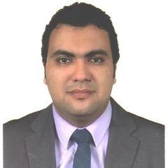 محمد كمال كامل, lawyer