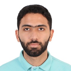Hamza Alsheikh, Sales Executive