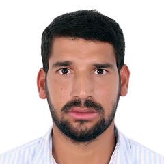 Mahmoud Hassan, Construction Manager