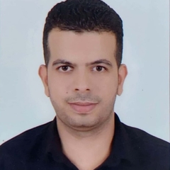 Ahmed  El fakharany 