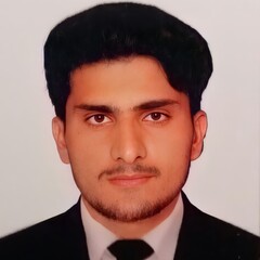 محمد Mehran Ali, Media Reporter