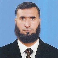 ZULFIQAR ALI ALI