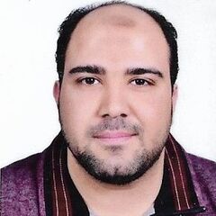 MOHAMED FARID, Assistant project manager