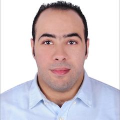 Mohammed Alaa eldin hassan, Senio Teller&Customer Service Executive