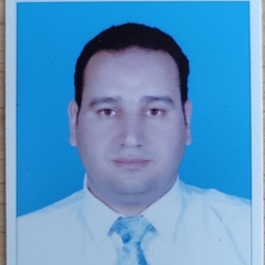 IBRAHIM MOHAMMED IBRAHIM ABD_ELRAHMAN, Sales Manager