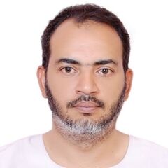 husham zaki abdelhameed ibrahim, Owner, Operations Manager