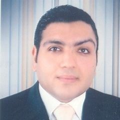 Ahmed Bedair Ali shokr, Executive Manager 