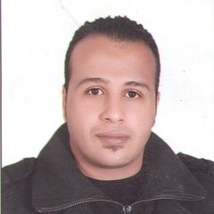 محمد وحيد محمد, محاسب