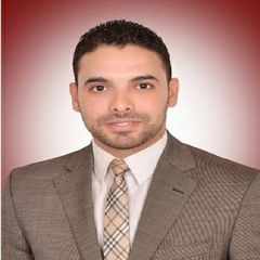 Ahmed Mohamed Salem, Project Manager