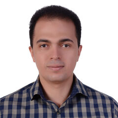 وائل أحمد مصطفي أحمد حسب الله, محاسب عام للشركة