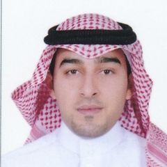 Ahmed Halawa, Accountant