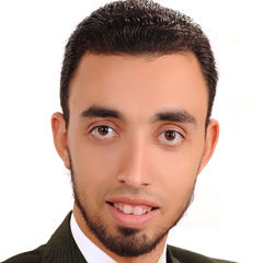 جلال شرف, Senior Internal Auditing Officer