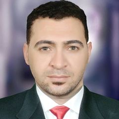 Mustafa Sabry, cheif accountant