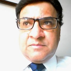 Mohammed Malik, Freelance Business IT Consultant and Project Manager
