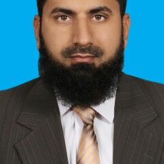Muhammad Arif, Professional  Engineer