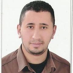 محمد دياب, chief accountant