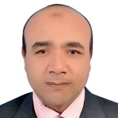 Hassan Ahmed Hamed Khalifa, معلم خبير