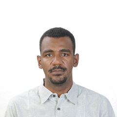 Nagmeldin Ahmed, Aircraft Engineering