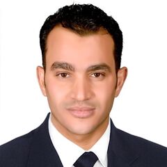 Yasser  Elshrkawy, Structural Steel Detailer