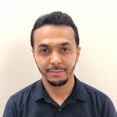 حسن النصر, Project Controls Manager