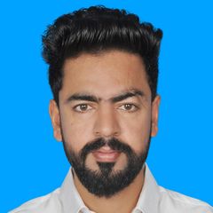 Muhammad Faizan Saleem , Civil Engineer