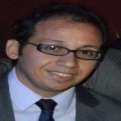 أحمد ABOUZEID ELSAYED ALI ABO ELSOAD, Institutational medical representative