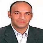 Abdel-Fatah Mahrous, Project Manager