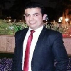 Ahmed Salah Ali  Elnemr, مدير حسابات