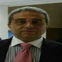 عبدالعزيز حنفي, Transportation Director 