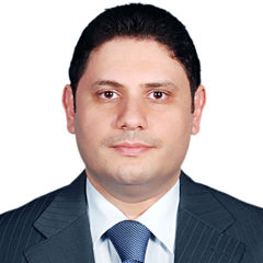 Hesham Hashem, Lead Systems Analyst / Project Manager
