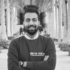 Mostafa Elsheikh, Programmer