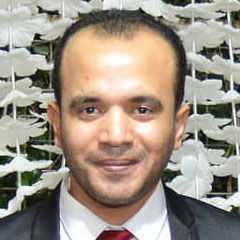 محمد عيد سيد احمد خليل, Senior web developer