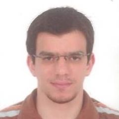 محمد الجارحى, Senior/Lead Java Developer (Analyst)