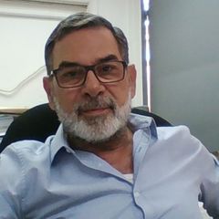 Akram AbdelHafez, Project Manager