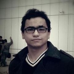 Mahmoud Boghdady Mahmoud Abd El-wahab, data scientist