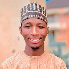 Ali Muhammad bello