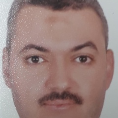 ehab hamdi