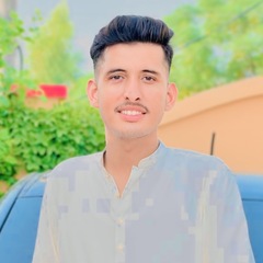 Shahzaib  Ali