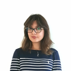 pegah bahramiani, Senior Firmware Engineer/Architect
