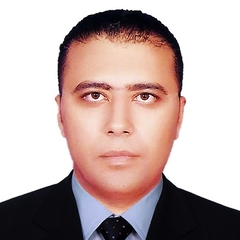 Mohammed Ali Rabie