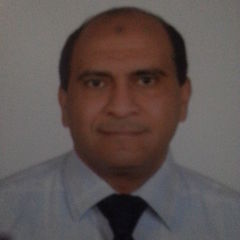 Mohamed Bakr, مدير مصنع