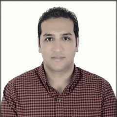 طارق شفيق موسى موسى أحمد, Service Solutions Engineer