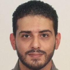 Adham Fayez, Data management supervisor