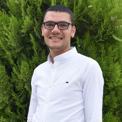 حسين طيراوي, Front End Software Engineer