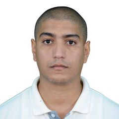 mehdi meradi, Instrument and Control Technician
