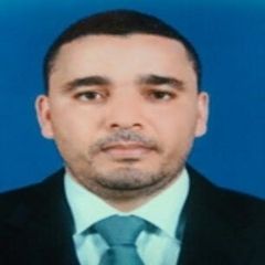 Ismail Bougdima, Sales Manager