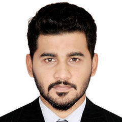 Zeeshan Ali, sales executive