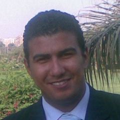 محمد فايد, construction project manager