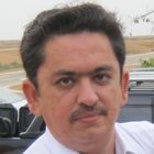 سید کاظم علی شاه, Data Analyst
