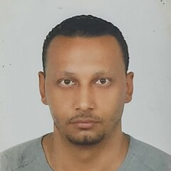 محمد محمود السيد ُحافظ, مدير مستودع